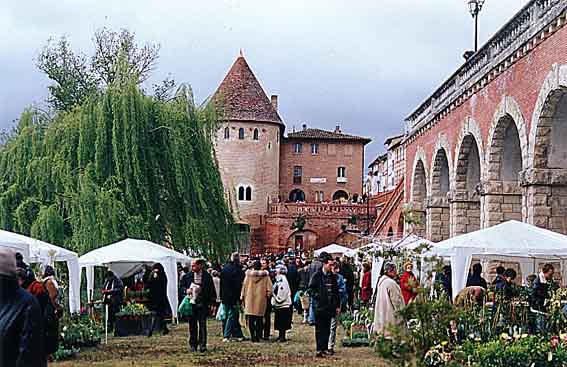 Exposition : Journes des plantes rares de la Tour de Dfense de Villemur