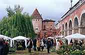 Agrandir l'image